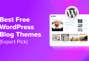 64 Best Free WordPress Blog Themes for 2024 (Expert Pick)