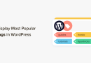 How to Display Most Popular Tags in WordPress (2 Easy Methods)